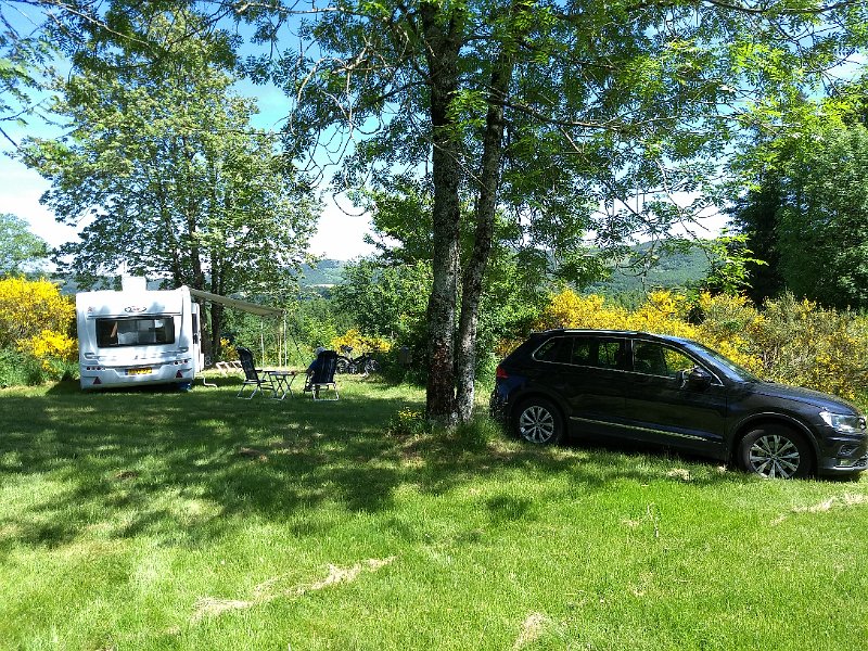 220 foto MVervoorn 2019-06-17 15.42.19.jpg